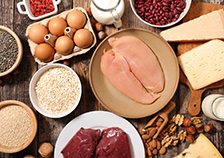 選擇優質蛋白質順序應為「豆魚肉蛋類」。蛋白質應佔每日飲食18%，優先選擇自豆類攝取植物性蛋白質，魚肉蛋皆屬於動物性蛋白質。